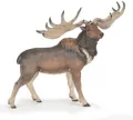 Megaloceros - tantis.pl