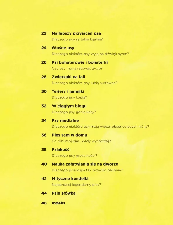 Dlaczego psy się obwąchują? - tantis.pl