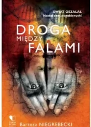 Droga między falami