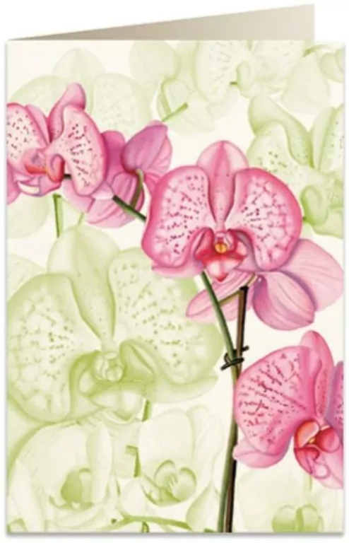Karnet B6. Różowa orchidea - tantis.pl