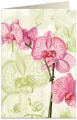 Karnet B6. Różowa orchidea - tantis.pl