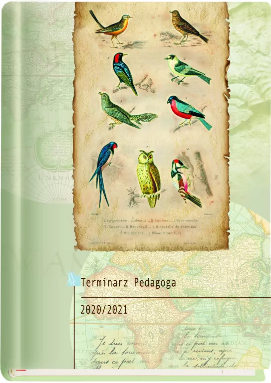 Terminarz Pedagoga 2015/16 Niebieski - tantis.pl
