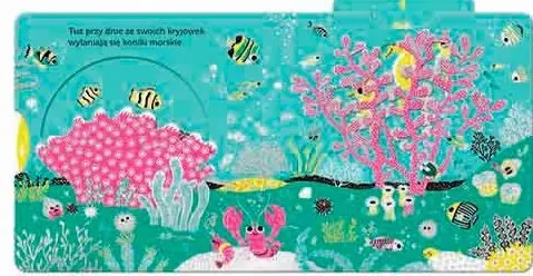 Ocean. Niesamowity spacer. Akademia mądrego dziecka - tantis.pl