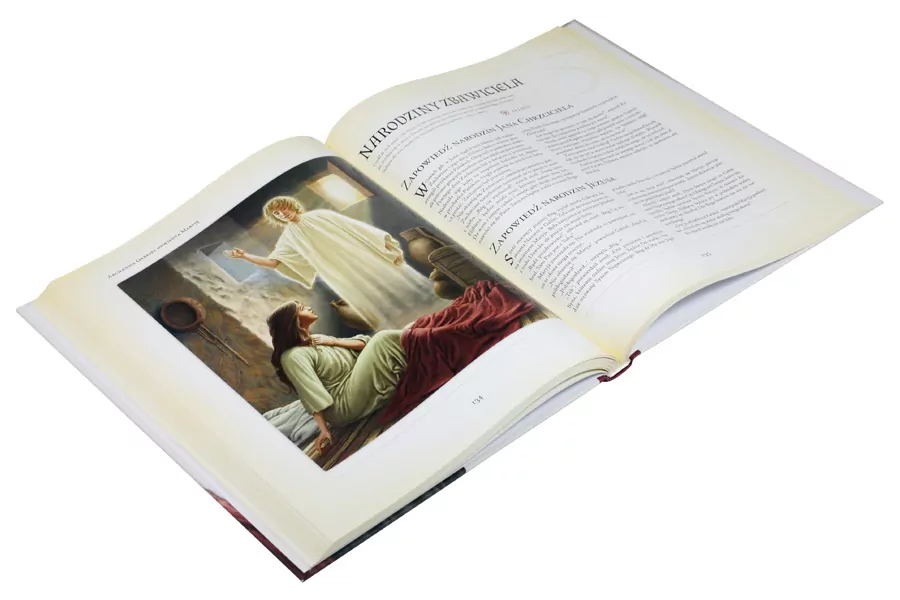 Biblia. Ilustrowane historie ze Starego i Nowego Testamentu - tantis.pl