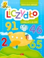 Liczydło. Liczby od 1 do 100 - tantis.pl
