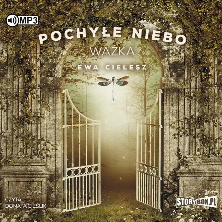 Ważna. Pochyłe niebo. Tom 3. Audiobook - tantis.pl