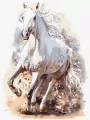Malowanie po numerach. Wyrafinowana moc 30x40cm - tantis.pl