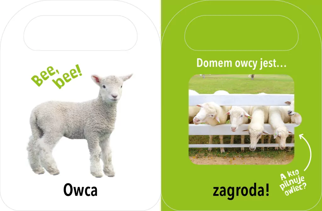 Domy zwierząt. Otwórz i zobacz! - tantis.pl