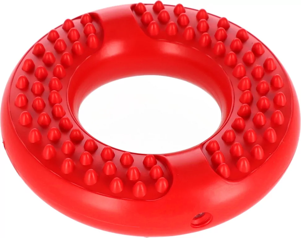 Dysk dla Psa 13,8cm - tantis.pl
