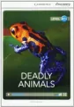 Deadly Animals - tantis.pl