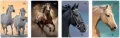 Zeszyt A5 16k kratka 70g UV Wild Horses - tantis.pl