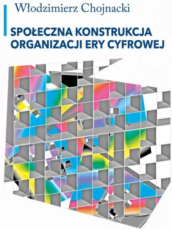 Społeczna konstrukcja organizacji ery cyfrowej - tantis.pl