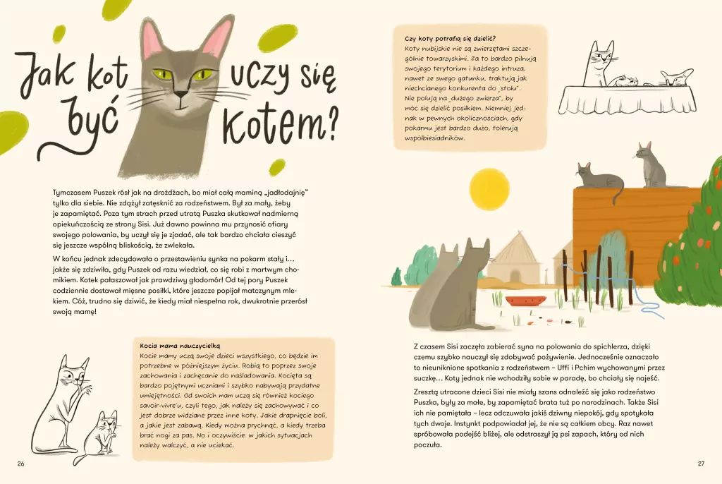 Skąd przyszedł kot? - tantis.pl