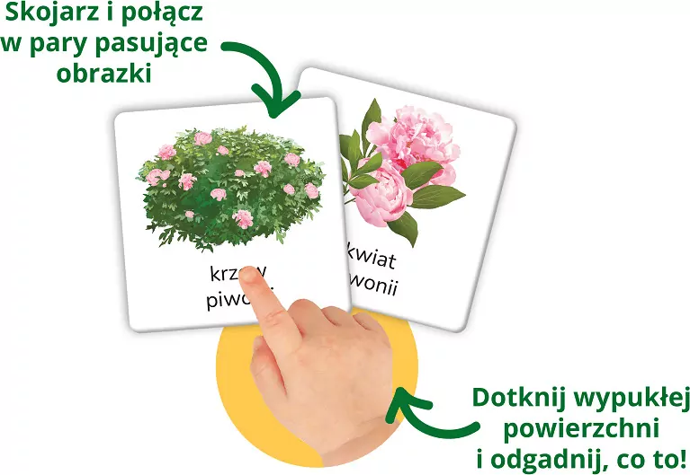 Montessori. Przyroda tu i tam - tantis.pl