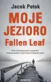 Moje Jezioro Fallen Leaf - tantis.pl