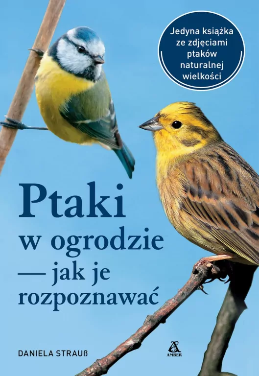 Ptaki w ogrodzie jak je rozpoznawać - tantis.pl