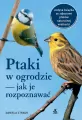 Ptaki w ogrodzie jak je rozpoznawać - tantis.pl