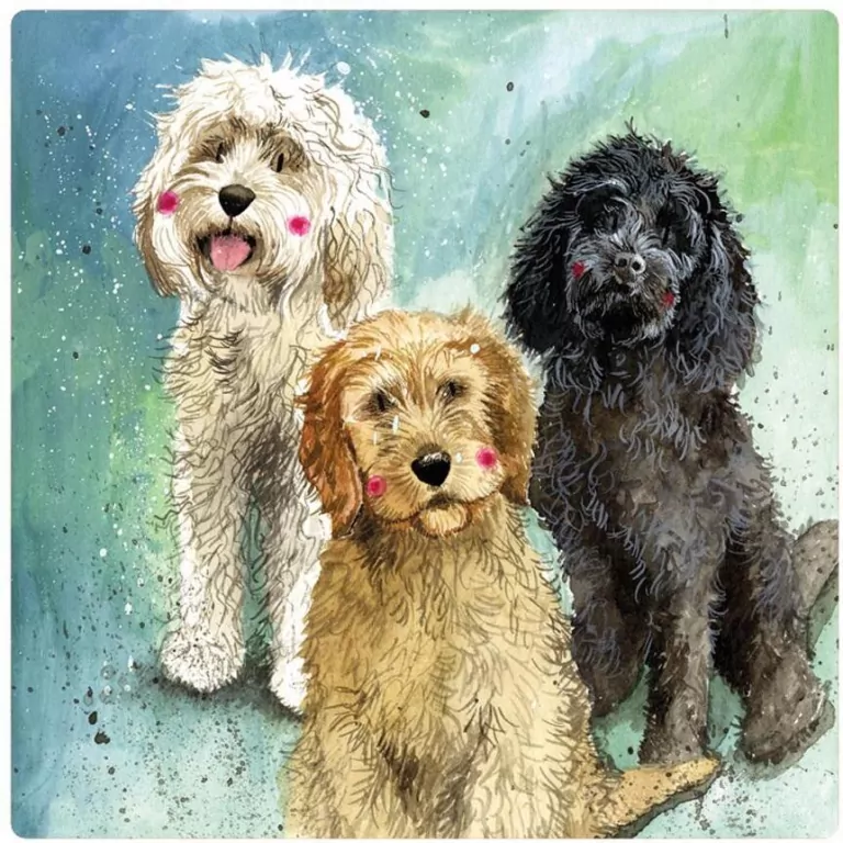 Magnes FM229 Psy Cockapoo - tantis.pl