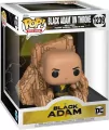 Funko Dc Black Adam Black Adam - tantis.pl