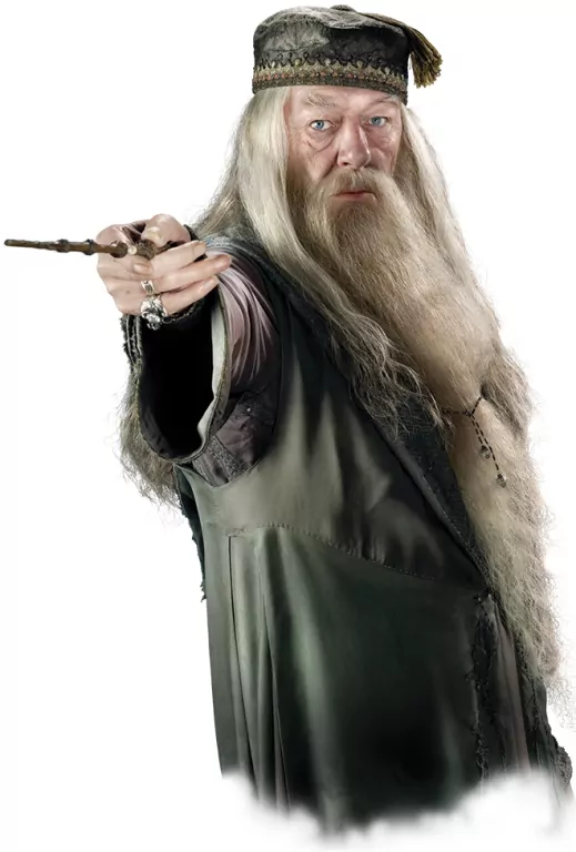 Harry Potter: Hogwarts Battle. Obrona przed czarną magią - tantis.pl