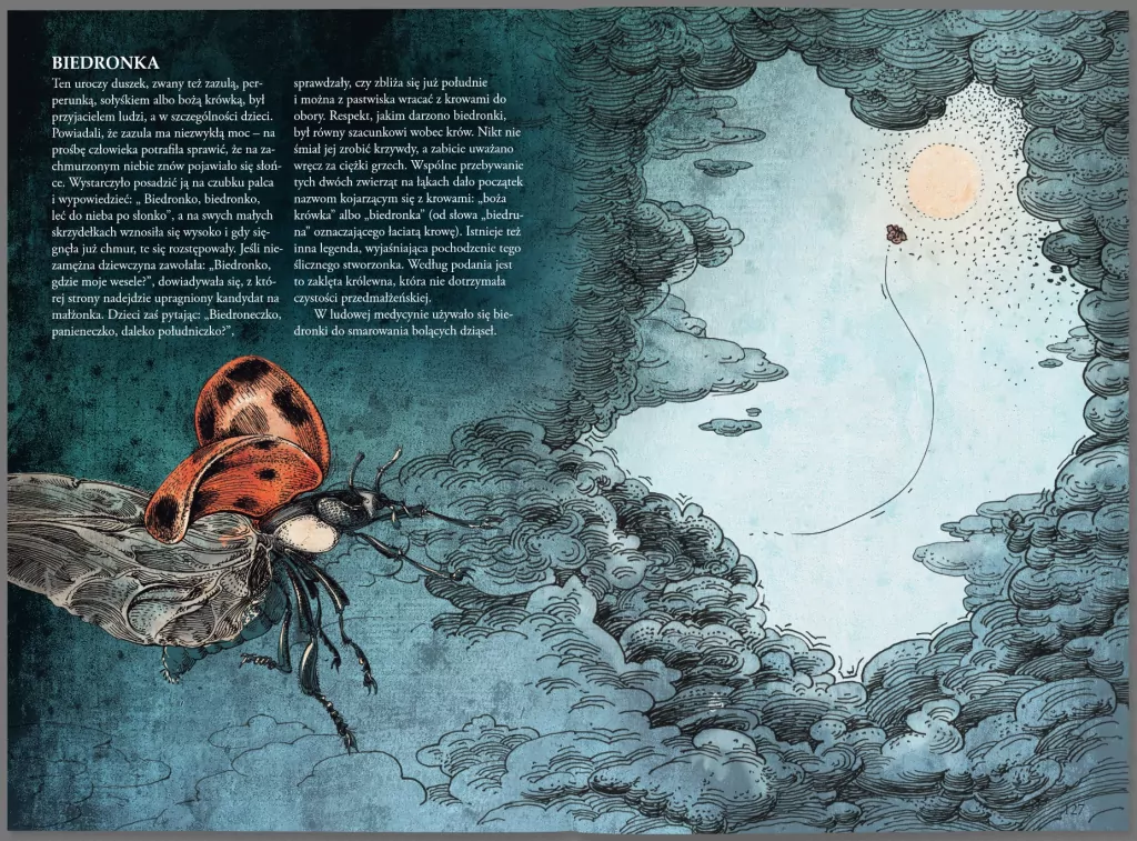 Bestiariusz. Zwierzęta - tantis.pl