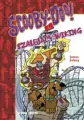 Scooby-Doo! I Szalejący Karateka - tantis.pl