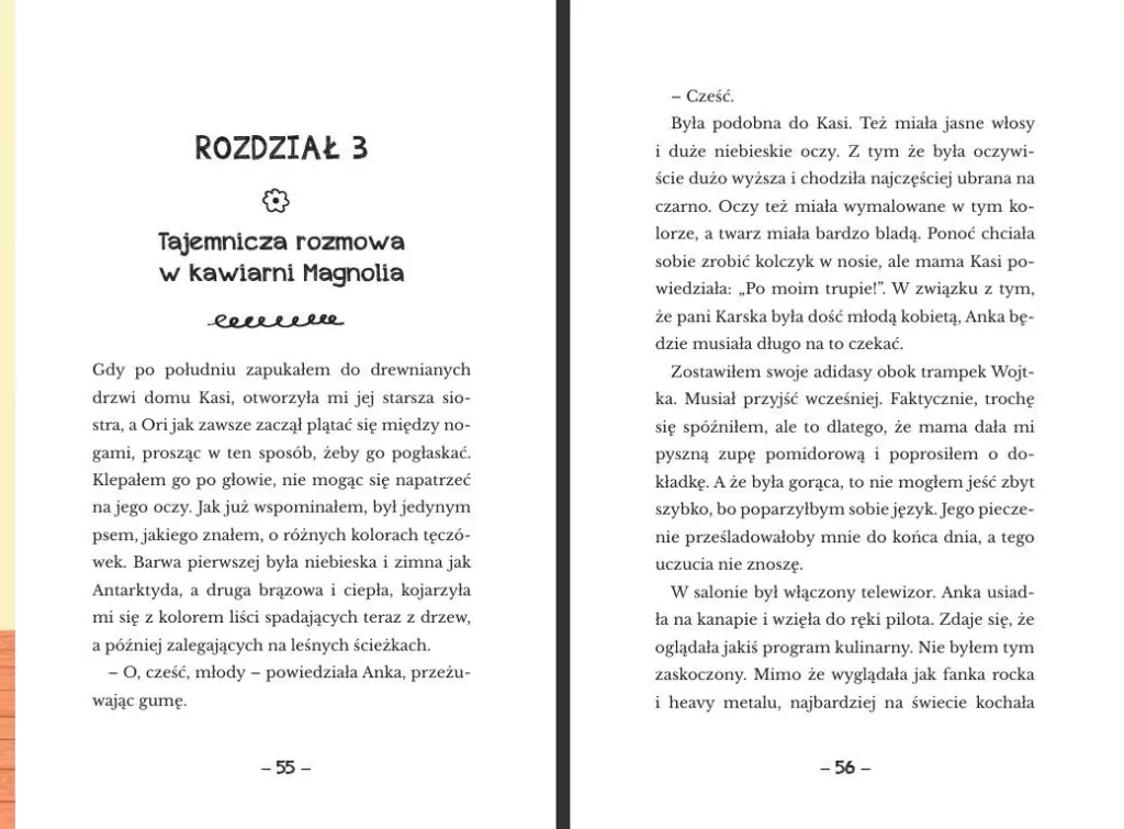 Detektywi z podstawówki. Tajemnica dyrektora... - tantis.pl