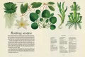 Botanicum. Muzeum Roślin. W Muzeum - tantis.pl