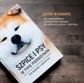 Szpice i psy w typie pierwotnym - tantis.pl