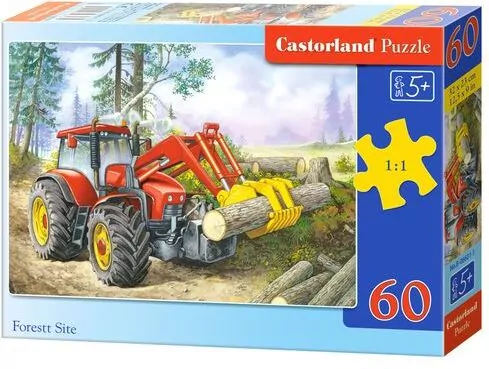 Puzzle 60. Wycinka w lesie. Forest Site B-06601