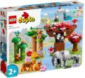 LEGO® DUPLO® Town. Dzikie zwierzęta Azji. 10974 - tantis.pl