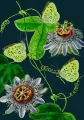 Karnet B6 z kopertą Passiflora nocą - tantis.pl