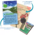 Quiz Polska. Kapitan Nauka - tantis.pl