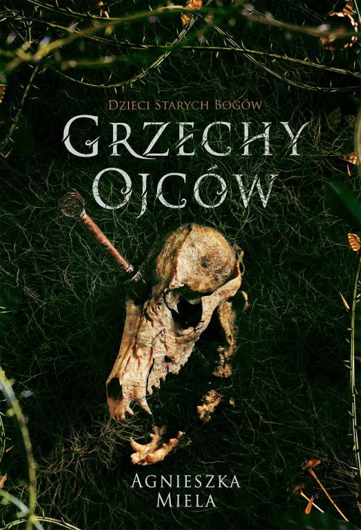 Grzechy ojców. Dzieci Starych Bogów. Tom 2 - tantis.pl