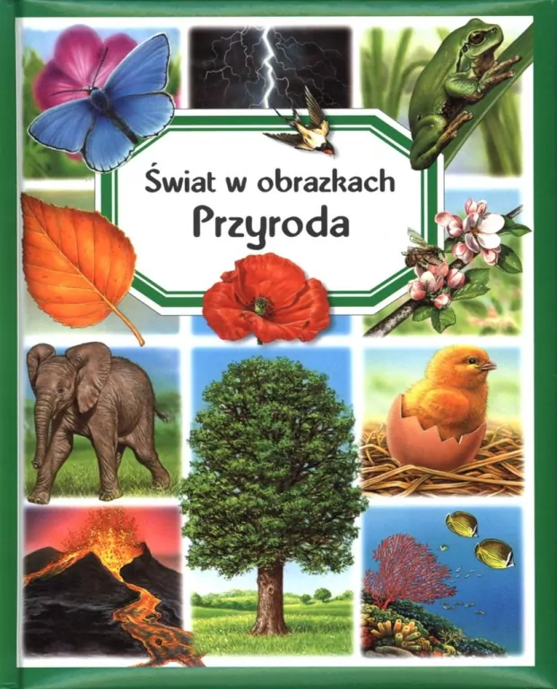 Przyroda. Świat w obrazkach - tantis.pl