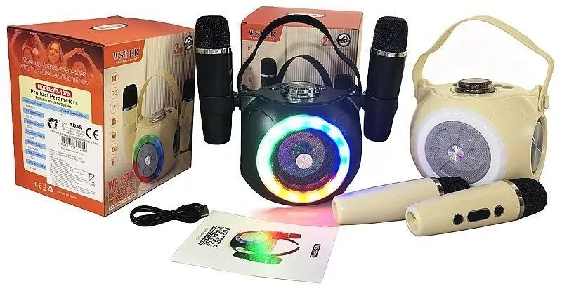 Głośnik karaoke 2 mikrofony USB MIX - tantis.pl