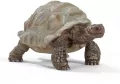Żółw olbrzymi Wild Life 14824 - tantis.pl