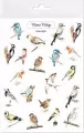 Naklejki Ptaki - tantis.pl