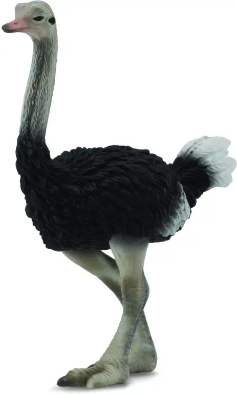 Struś figurka - tantis.pl
