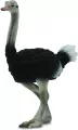 Struś figurka - tantis.pl