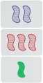 Set - tantis.pl
