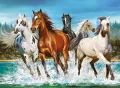 Puzzle 2000. Call of Nature. Zew natury - tantis.pl