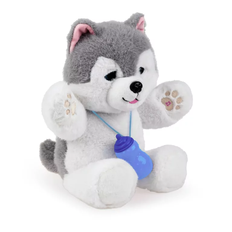 Piesek husky - tantis.pl