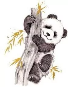 Karnet złocony kwadrat CL3816_BL Panda - tantis.pl