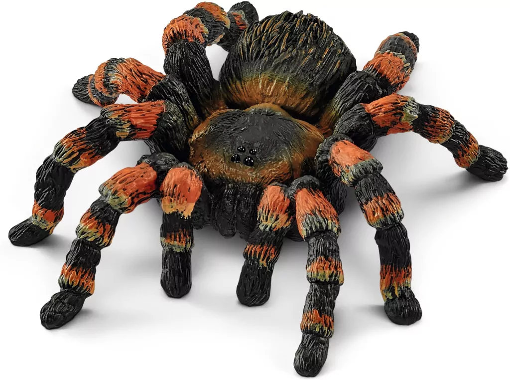 Tarantula. Wild Life - tantis.pl