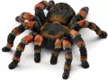 Tarantula. Wild Life - tantis.pl