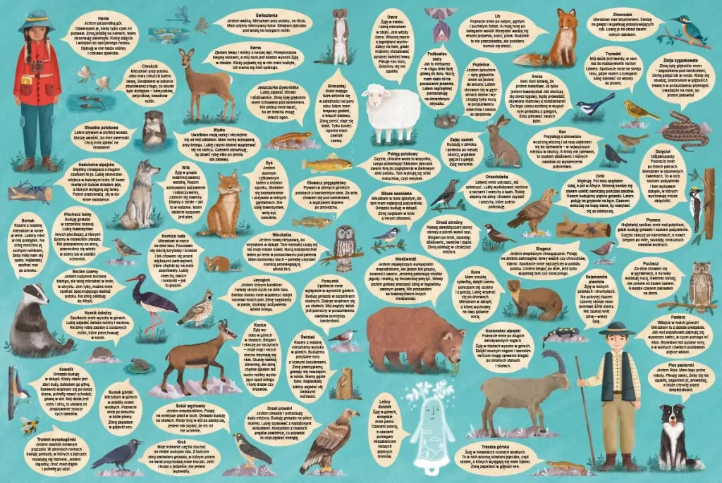 Rok w górach - tantis.pl