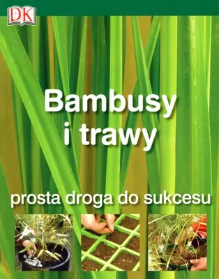 Bambusy i trawy. Prosta droga do sukcesu - tantis.pl