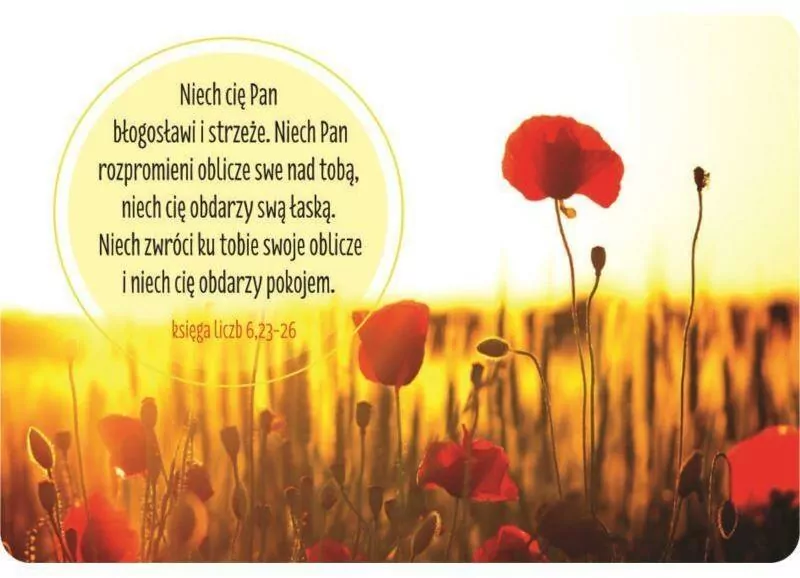 Magnes. Niech Ci błogosławi - tantis.pl