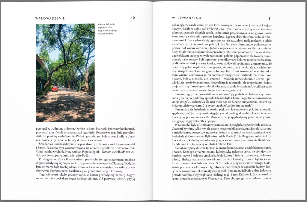 Tamara Łempicka. Projekt artystka - tantis.pl